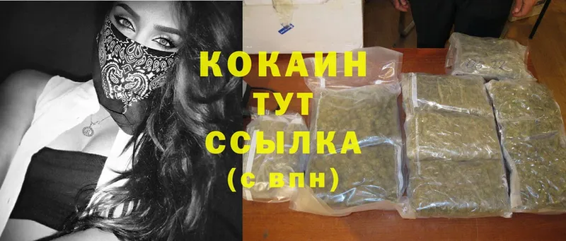 COCAIN Эквадор  Куровское 